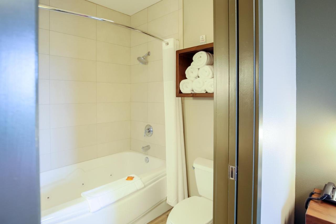 Great Wolf Lodge Chicago/Gurnee Phòng bức ảnh