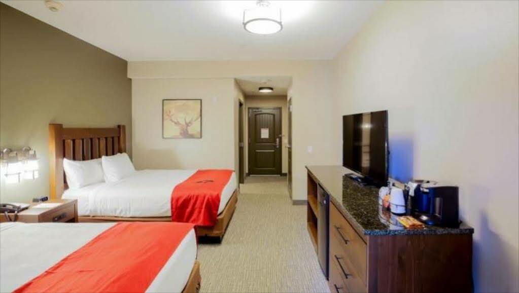 Great Wolf Lodge Chicago/Gurnee Ngoại thất bức ảnh